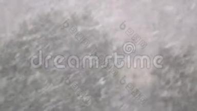 秋<strong>天降</strong>雪的慢镜头拍摄在褪色的树木背景上，几乎没有干叶